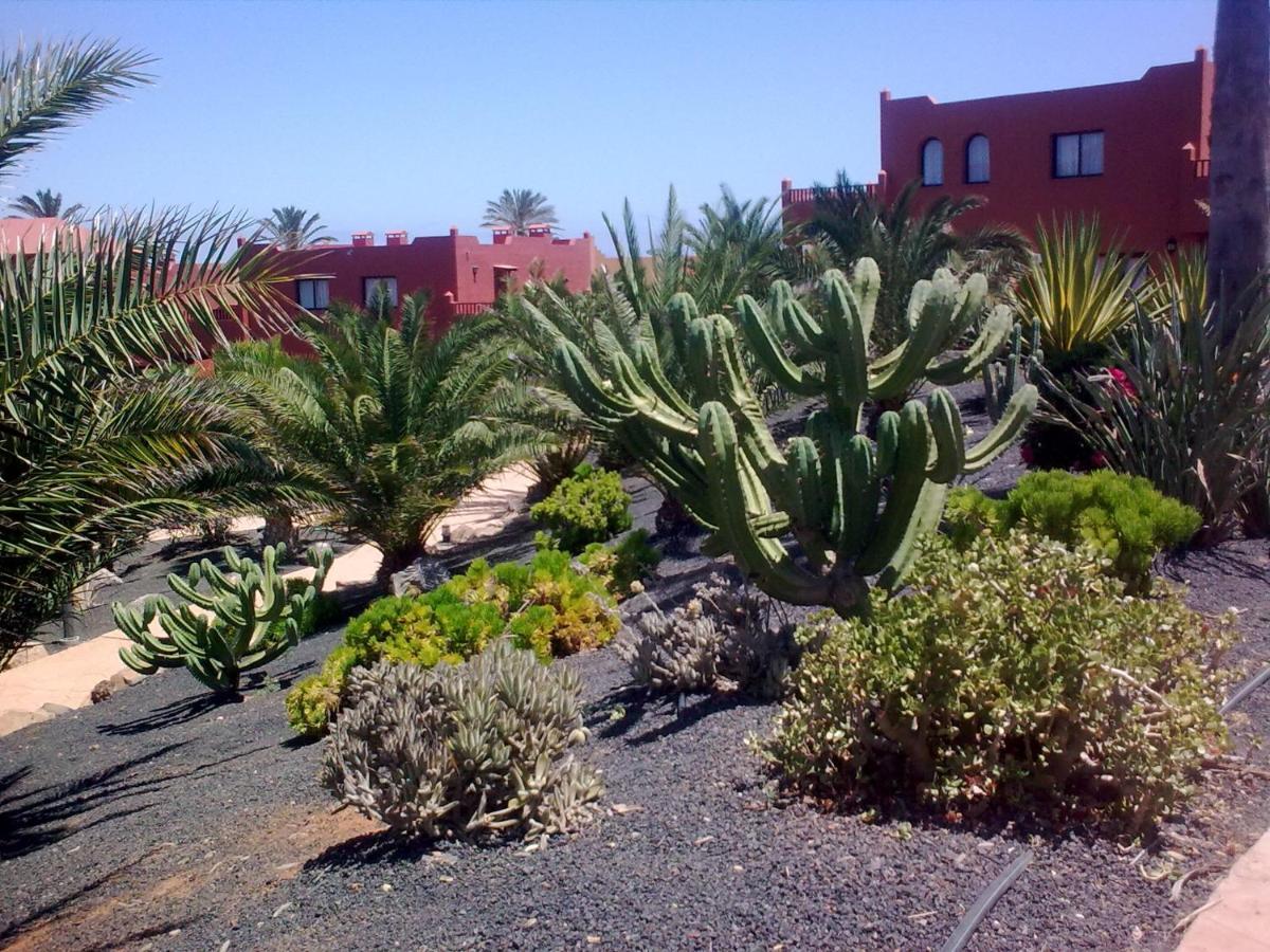 Tamarindo I Piscinas De Agua Salada Apartman Corralejo Kültér fotó