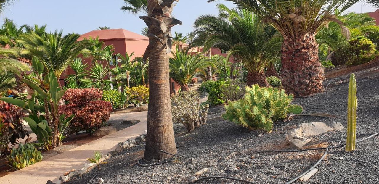 Tamarindo I Piscinas De Agua Salada Apartman Corralejo Kültér fotó
